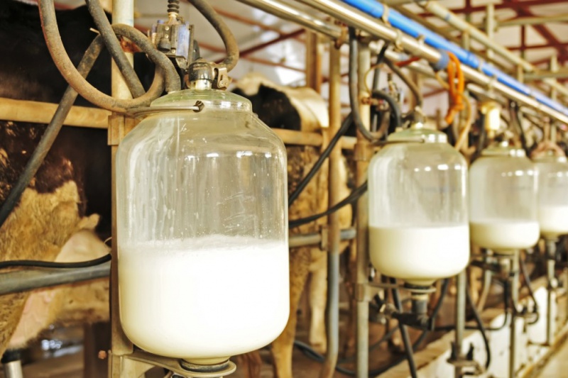 «Оренбургский молочный комбинат» в топе лучших производителей 